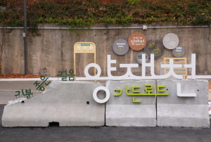 강남구, 방치된 유휴지를 힐링 산책로로… 양재천길 `환골탈태`