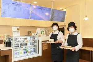 양천구, 2026년 노인일자리 참여자 3,781명 모집..오는 15일까지 접수