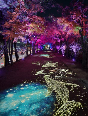 밤에도 걷고 싶은 안양천…구로구, 4가지 주제 `빛의 산책길` 조성