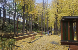 서초구, 올림픽대로변 녹지대 `생활형 정원`으로 재탄생