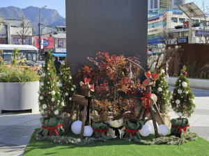 ˝시민 일상에 계절의 쉼표를 더하는 은평의 정원˝ 은평구, 정원 두 곳 겨울 정원으로 새단장