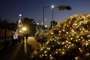 도봉구, 방학사계광장에 크리스마스 트리 설치
