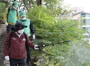 ˝겨울에도 모기가?˝ 마포구, 월동 모기 선제 대응에 나선다