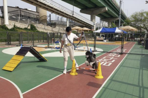 금천구 반려견 놀이터 잠시 쉬어갑니다... 12월 20일부터 겨울철 휴장
