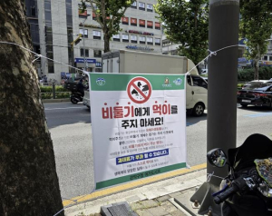 ˝먹이 안줘야 공존˝ 관악구, 유해야생동물 먹이주기 금지 계도기간 돌입