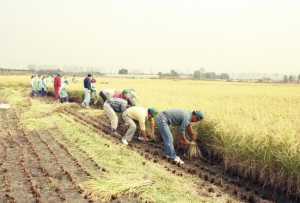 강서의 시간, 사진으로 되살립니다 `우리동네 숨은 기억찾기–강서의 옛 사진 공모전` 개최
