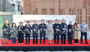 17년 주민 숙원 이뤘다! 서초구, 고속터미널사거리 전방향 횡단보도 신설