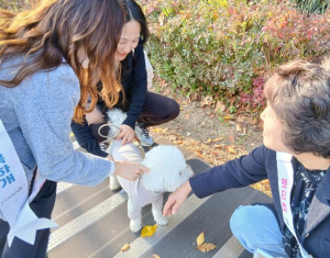서초구, 동물등록제 자진신고제 확대! 성숙한 반려문화 이끈다