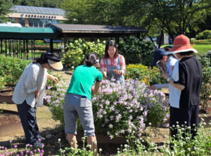 생활권 어디서나 `도시형 치유농업`… 서울시,`치유농업 기본계획`최초 수립