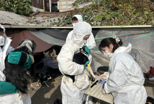 노원구, 대규모 애니멀호딩 사례에 민관 협력으로 선제적 대응