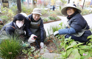 강동구 정원자원봉사단 `강동 아.정.이` 서울시 정원도시상 우수상 수상