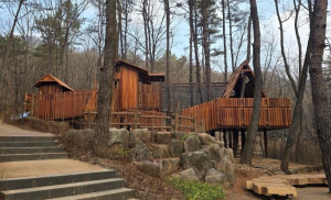 숲이 놀이터가 되다! 노원 `수락산 유아숲체험원` 새롭게 문연다