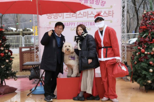 `바오`의 특별한 데뷔! 마포구 홍보견으로 활약 시작