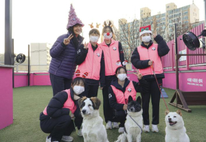 서대문구청 여자농구단, 연말 맞아 내품애센터 유기동물 돌봄 나서