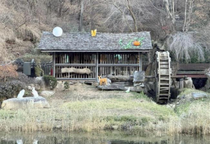 서대문구의 밤을 정겹고 은은하게 물들이다