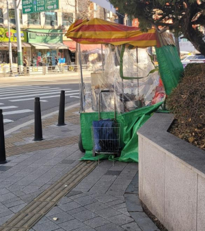˝점자블록 막지 마세요˝ 강서구, 교통약자 이동권 보호 나선다