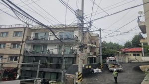 용산구, 생활주변 위험수목 정비 사업 첫 시행