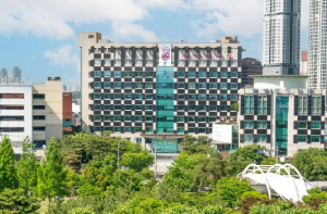 동대문구, 13일 시내버스 파업 대비 비상수송 가동…지하철 연계 무료셔틀 40대 투입