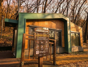 강동구, 자연과 함께하는 유아 `숲속 놀이터` 2곳 개장!