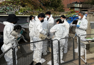 노원구, 민관 협력으로 전국 최대 규모 애니멀 호딩 사례 마무리