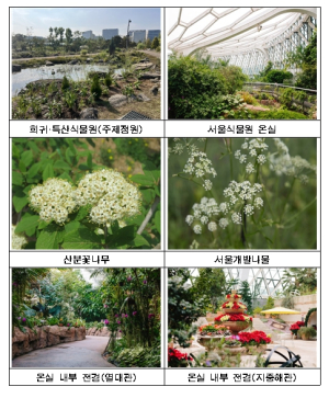 서울식물원 국가 희귀·특산식물 보전기관 신규 지정으로 보전 연구 강화