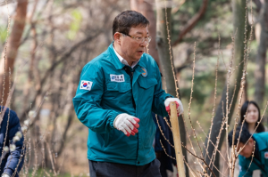 걷고 싶은 광진구, 구민 나무심기 지원하고 위험 수목 정비 나선다