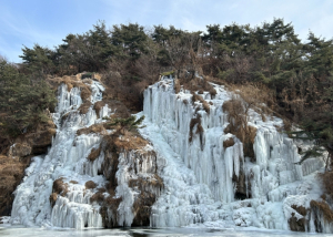 서대문 홍제폭포, 도심 속 ‘거대 은빛 빙벽’ 장관 글로벌 겨울 랜드마크로 우뚝