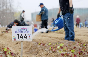 도봉구, 나눔텃밭 871구획 분양…2월 3일부터 신청