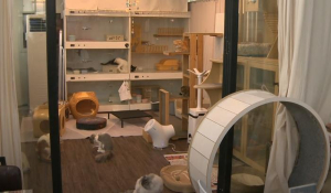 성동구, 취약계층 반려동물 안심 돌봄 지원...`우리동네 펫위탁소` 운영