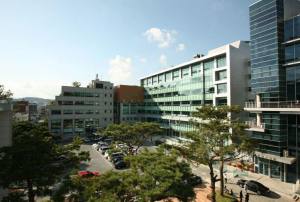 은평구, 2026년 장애인일자리사업 확대 추진