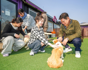 반려동물 비용 걱정 없이 맡긴다, 동대문구 ‘우리동네 펫위탁소’ 운영