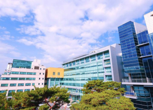 은평구, 오는 13일부터 설 연휴 종합대책 추진…안전·민생·생활편의 전방위 대응