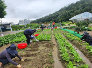서초구, 도심 속 힐링 `친환경 도시텃`’에서 시작하세요