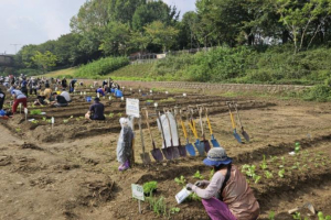 도심 속 텃밭에서 힐링을... 금천구, `도시농업체험장` 텃밭 분양