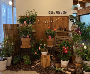 도심 속 정원문화 한자리서…도봉구 초안산가드닝센터 기획전 열린다