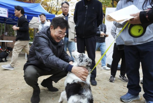 가족 같은 반려동물, 종로구에 맡기세요 `우리동네 펫위탁소`