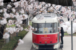 명소도 콘텐츠도 노원, 노원! 대한민국 지역문화 대표로 우뚝...노원구, 서울시 유일 `제2기 대한민국 로컬100` 2개 부문 석권