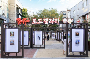 마포의 문화 르네상스! 음악부터 출판, 미술까지 꽃핀다