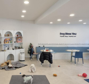 중랑구, ˝설 명절에도 안심하고 맡기세요˝…우리동네 펫위탁소 운영