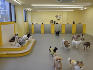 구로구, `우리동네 펫위탁소` 운영…취약계층 반려동물 돌봄 지원