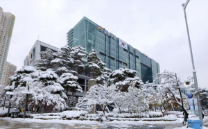한파 대응·취약계층 보호 강화…금천구, 설 종합대책 본격 가동