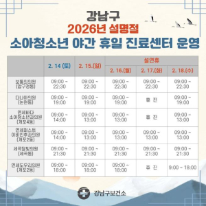 강남구, 설 연휴에도 빈틈없는 비상진료체계 가동