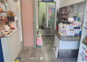 강북구, 취약계층 반려동물 위한 `우리동네 펫위탁소` 운영