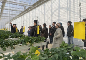 서울시, 귀촌부터 농업창업까지 무료 교육… `전원생활‧기초영농기술교육` 운영