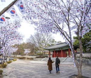 용산구 효창공원 일대 태극기로 물들다...`장관 연출`