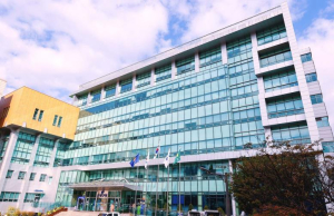 은평구, `청년이 꿈꾸는 내일` 위한 2026년 청년정책 시행계획 수립