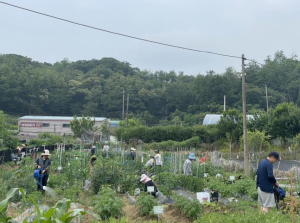 구로구, 2026년 주말농장 540구획 분양… 23일부터 신청 접수