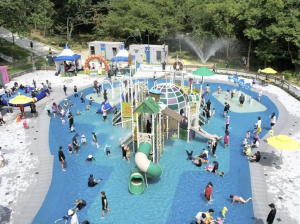 문 밖을 나서면 `365 생활체육` 관악구, 구민 건강과 행복 높이는 체육 복지 실현