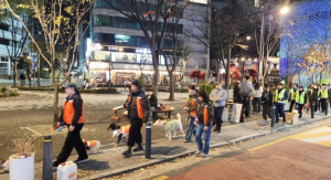 반려인과 함께 만드는 안전한 우리 동네..서대문구 `제3기 댕댕이 순찰단` 모집