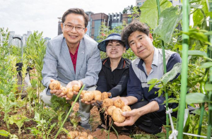 ˝도심 속 금싸라기 땅, 텃밭으로 내어드립니다˝ 영등포구, `문래동 도시텃밭` 참여자 모집